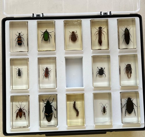 Selection curiosities of - selection,