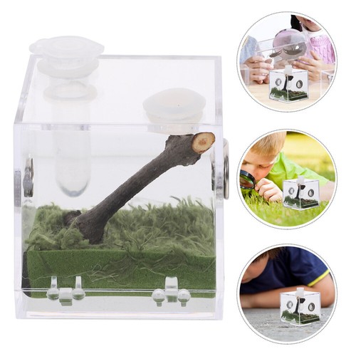 Jumping spider box enclosure - jumping,