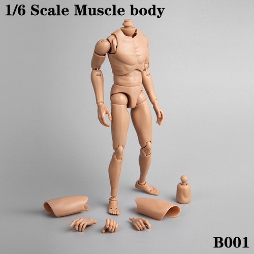 Dragon b001 male narrow - male,