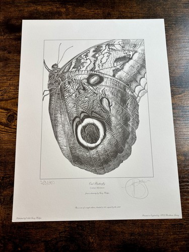 Gary hodges owl butterfly - gary, "owl