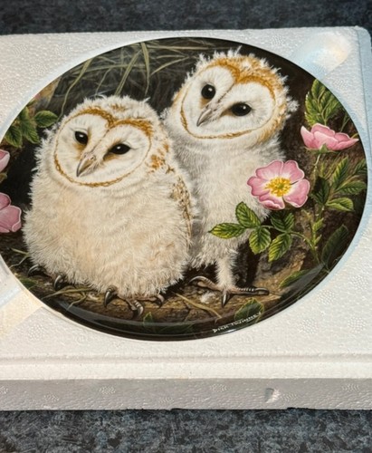 Vintage wedgwood collectors - wedgwood, collectors'