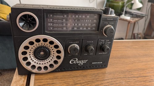 Cougar orpheus 4 - cougar, "orpheus"