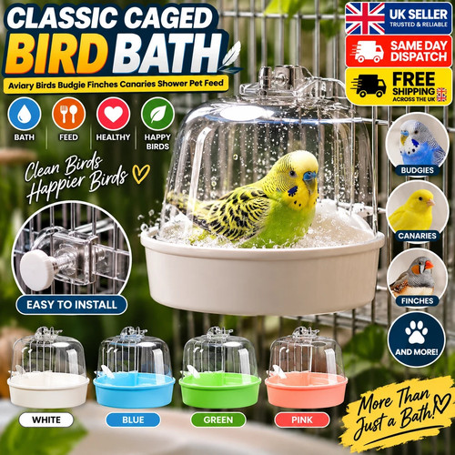 Classic caged bird - bird, bath