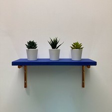 Tardis Blue Shelf With