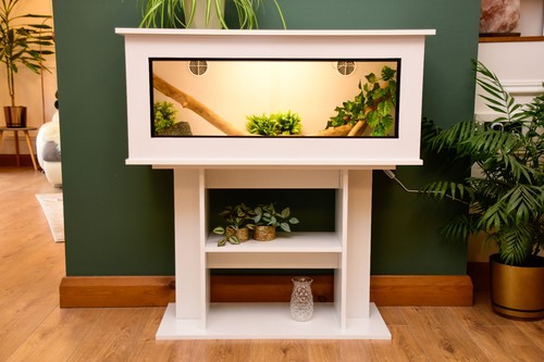 Modern white reptile - white,