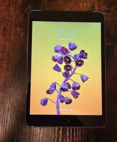 Apple ipad mini 128gb wi - ipad,
