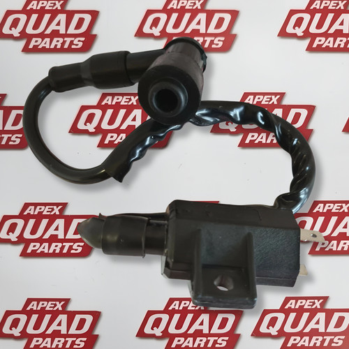 Suzuki ltf250 ozark 250 - 2002,