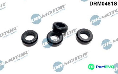 Motor automotive injector - automotive,