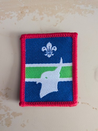 Scout patrol badge peewit - badge,