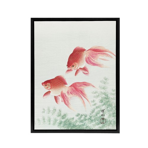 Two veiltail goldfish - two, in