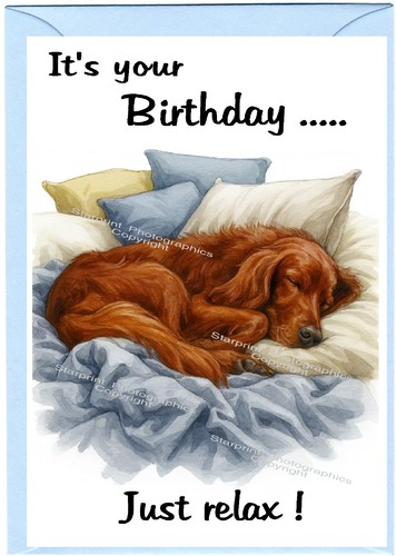 Irish red setter dog - red, (4"x