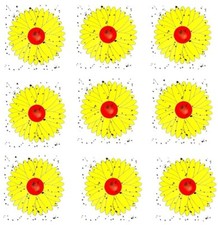 9pk fly trap window stickers - trap,