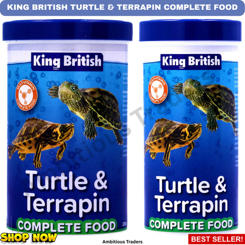 King british turtle - &, terrapin
