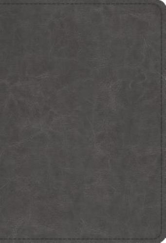 Esv student study bible - student,