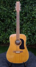 WASHBURN D10S 12 string