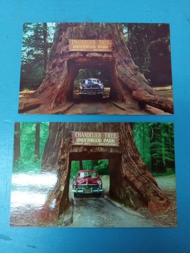 Chandelier tree lot 2 - tree,