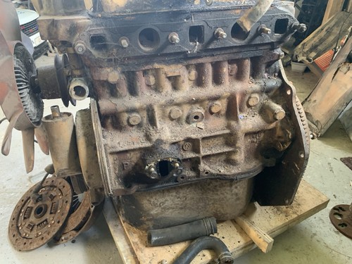 1275cc plus gold - 1275cc, seal