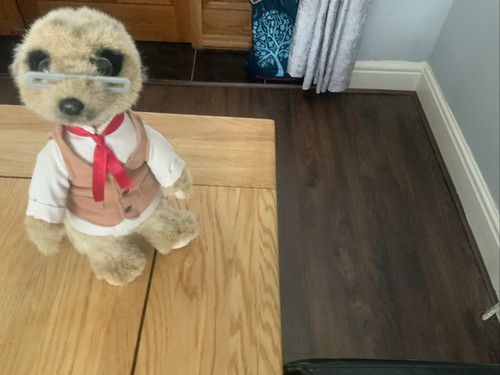 Meerkat figure good condition - meerkat,