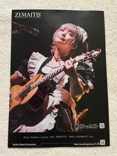 ZEMAITIS STARRY PIGEONS Flyer