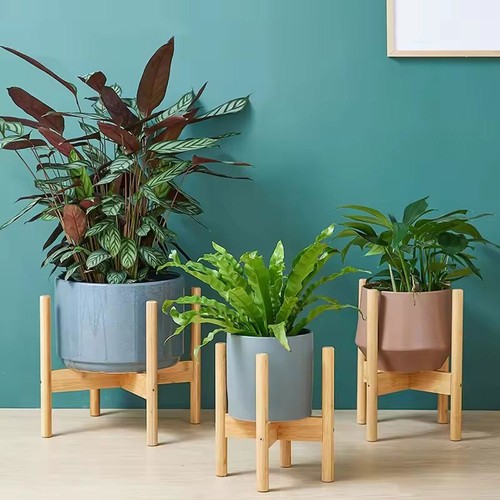 Bamboo wooden display plant - bamboo,