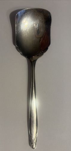 Sheffield ashberry demilo - ashberry,