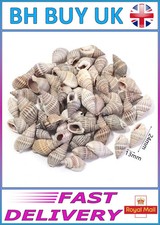 40g AQUARIUM SNAIL SHELLS