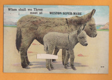 Comic- Donkeys at Weston-super-mare.  Novelty- (Pull out missing).   PC