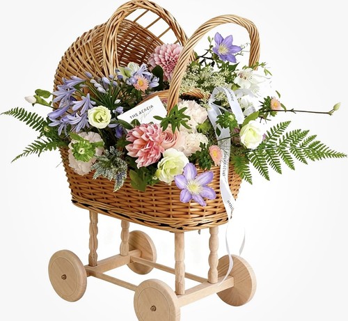 Woven rattan stroller shaped - woven,