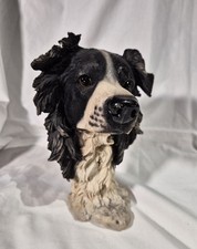 Black & White Collie Dog Head