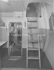 ORIGINAL PHOTOGRAPH  SHORTS