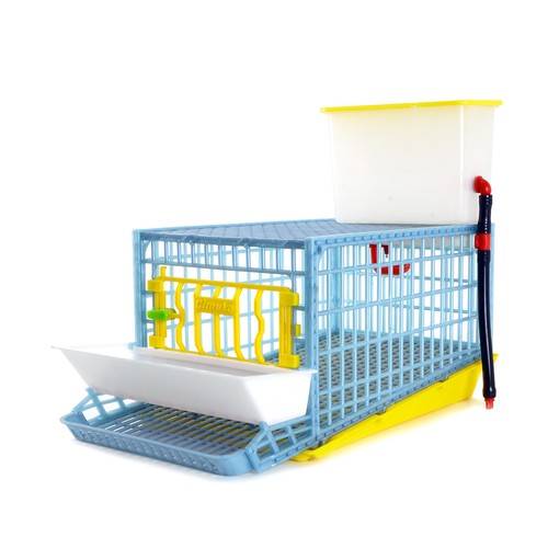 Quail cage mini - quail, for
