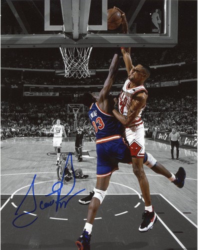 Scottie pippen chicago bulls - scottie,
