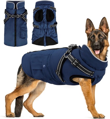 Dog winter coat with harness - dog,