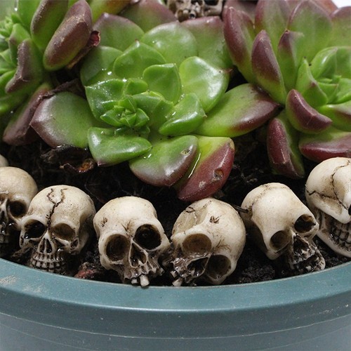 20pcs mini skull resin - skull,