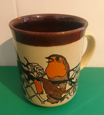 Robin Design Kiln Craft