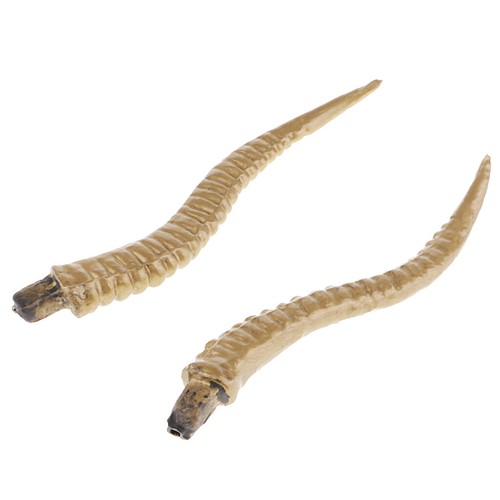 Plastic antelope horns - plastic,