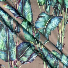 Printed Micro Velvet Velour