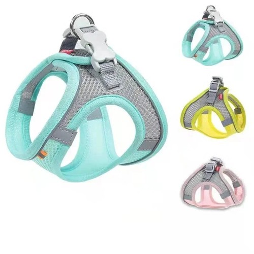 Dog harness and - dog,
