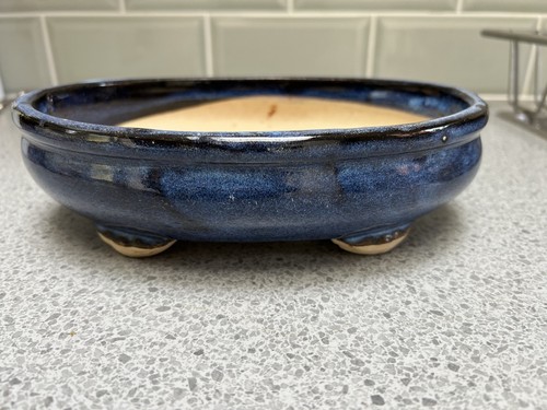 Ceramic blue glazed bonsai - glazed,