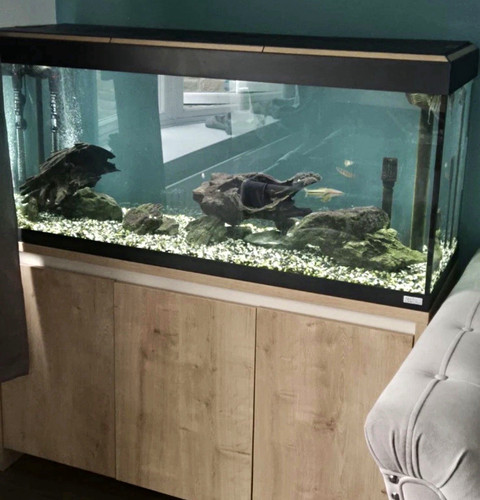 Fluval roma 240 - fluval, fish