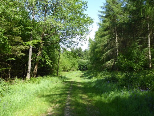 Photo 6x4 ride - 6x4, longbeech