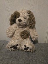 Shaggy dog build bear - dog,