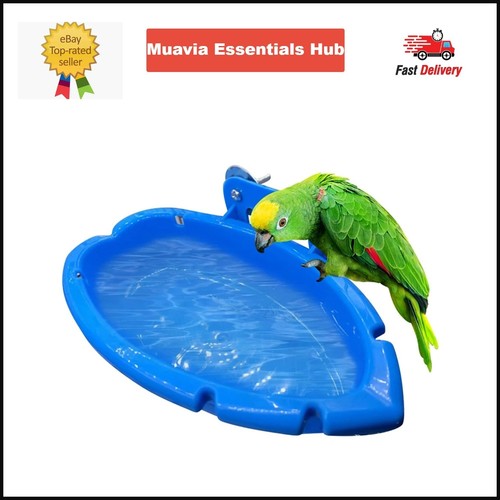 Bird bath tray creative - tray,