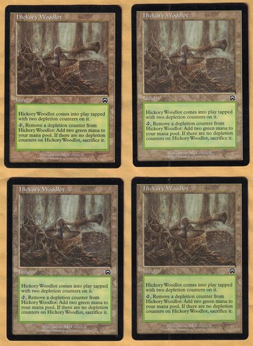 Hickory woodlot - ,