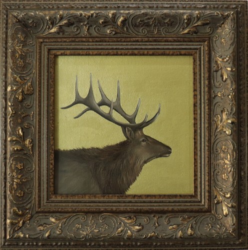 Golden stag profile portrait - -,