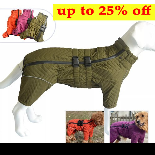 Dog winter coat clothes legs - clothes,