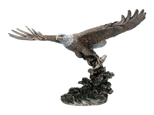 Flying eagle catching the - the, fish