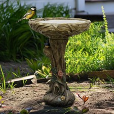 Decorative Concrete Birdbath