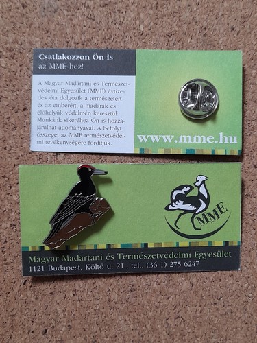 Mme black woodpecker charity - woodpecker,