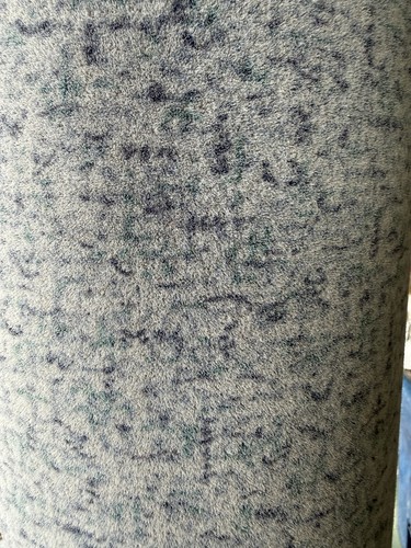 Flotex carpet remnant spring - flotex,